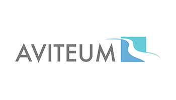 Lubelska-Akademia-WSEI—Współpraca-międzynarodowa—Partnerzy—Aviteum