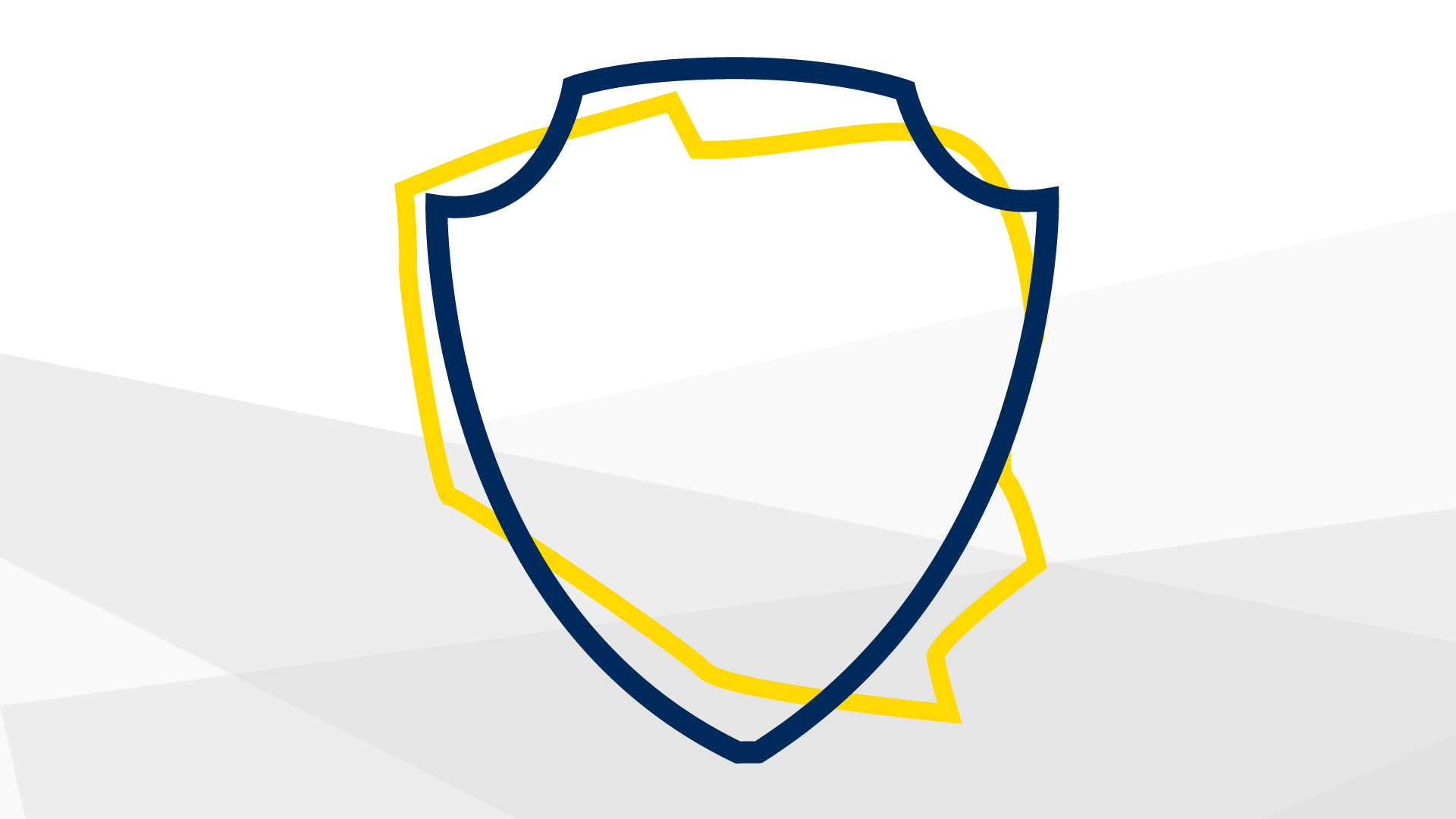 Lubleska_Akademia-WSEI_na_strone_wyklad_bezpieczenstwo_granicy