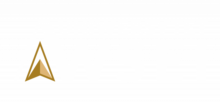 Uniwersytet WSEI – logo white