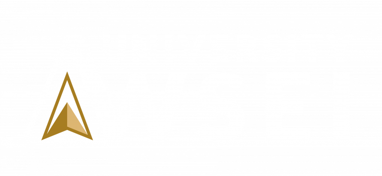 WSEI University – logo white