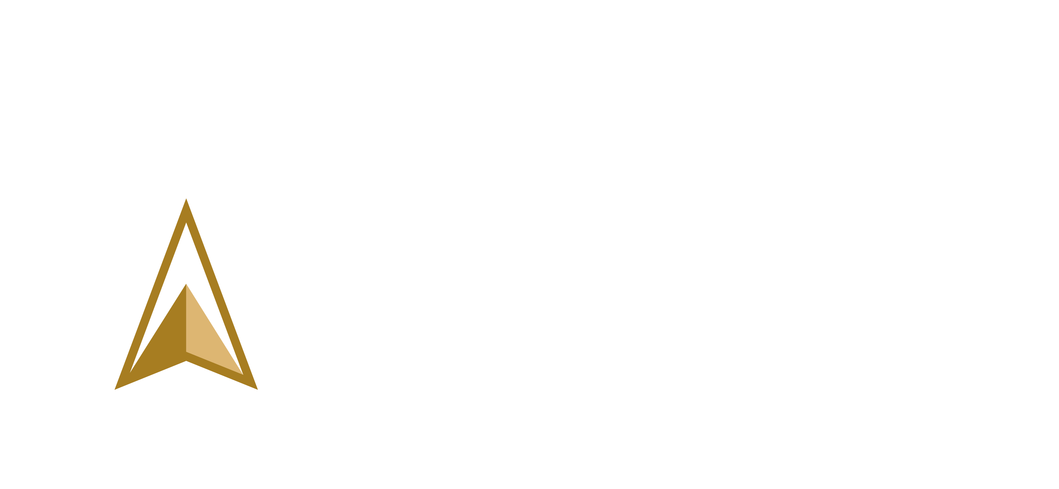 WSEI University – logo white