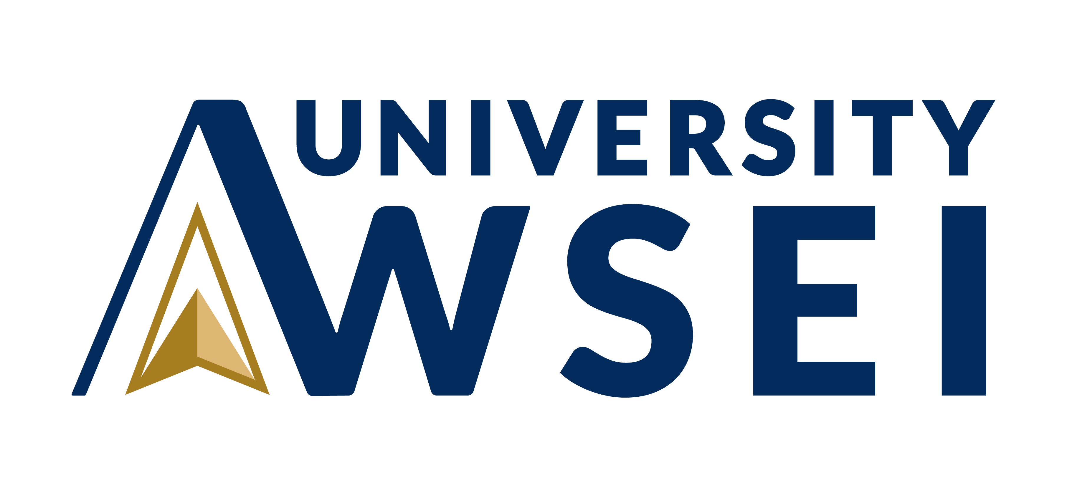 WSEI University – logo